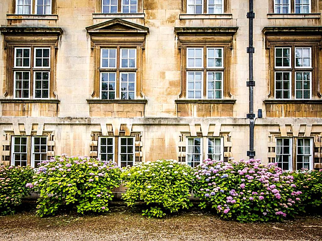 Christ's College Cambridge (Cambridge)