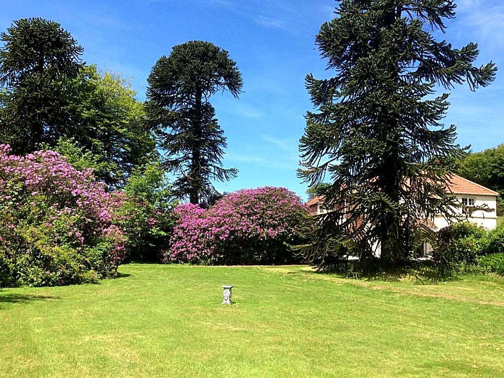 Moorlands (Parracombe)