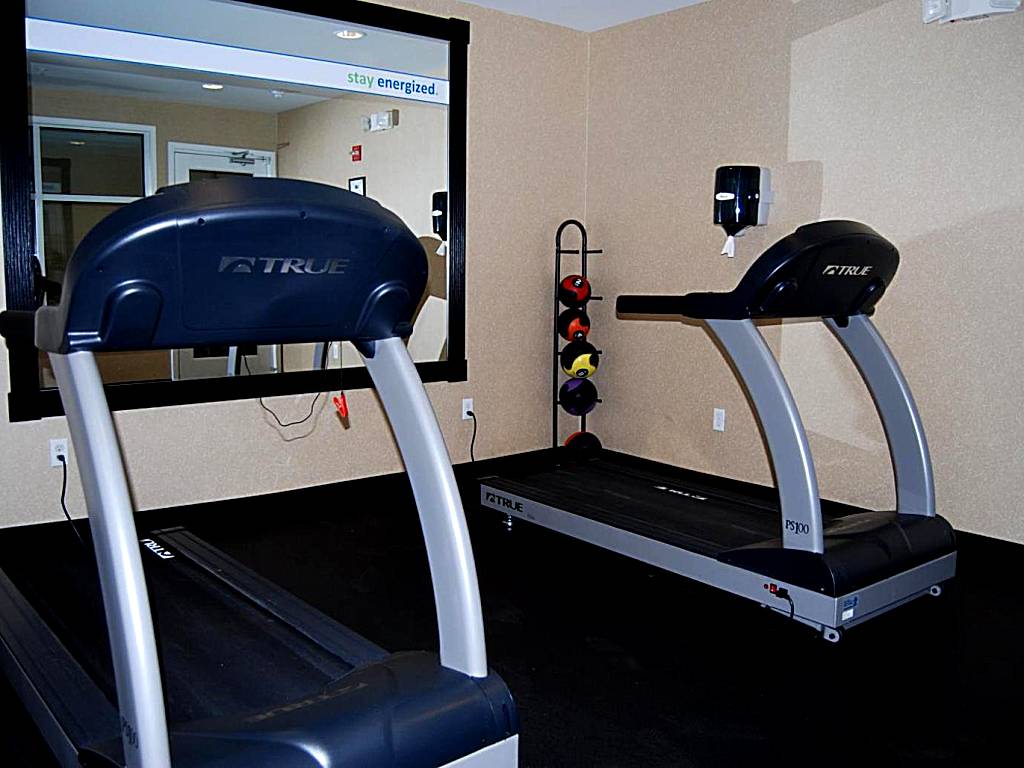 Holiday Inn Express Hotel & Suites Auburn Hills