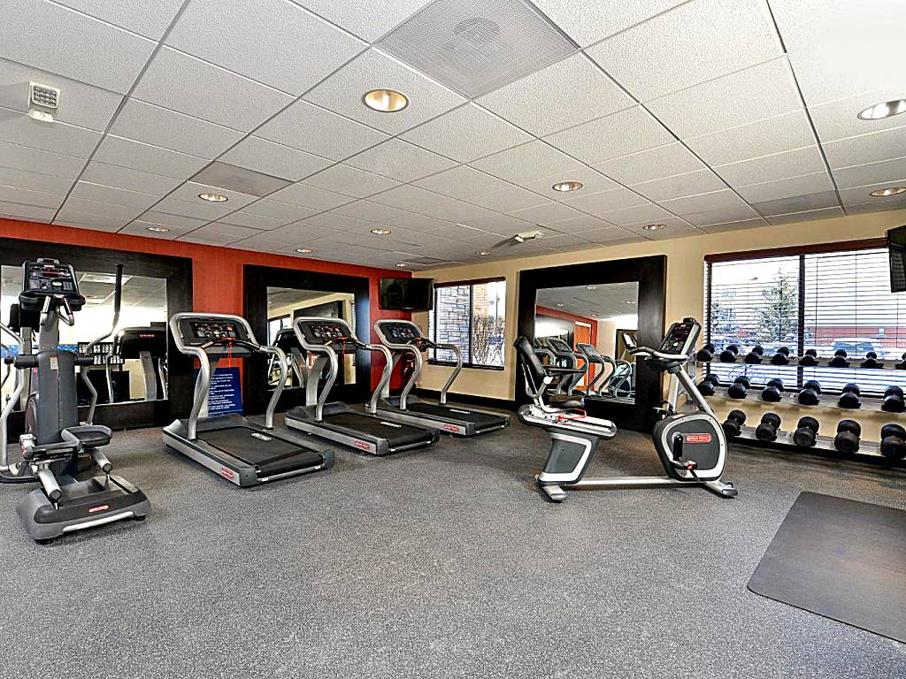 Hampton Inn Detroit/Auburn Hills South
