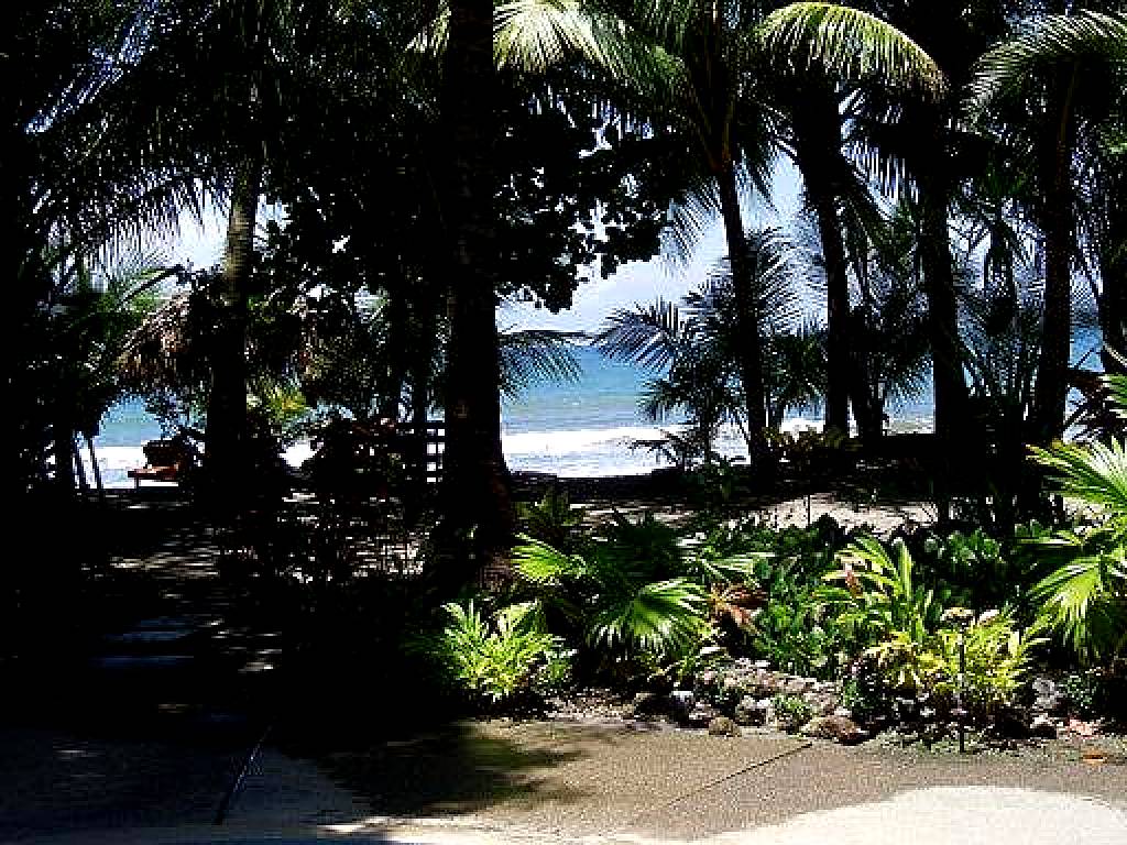 Fenix Hotel - On the Beach