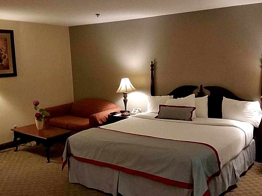 Ramada Plaza by Wyndham Garden Grove/Anaheim South: Deluxe King Suite - Non-Smoking (Anaheim)