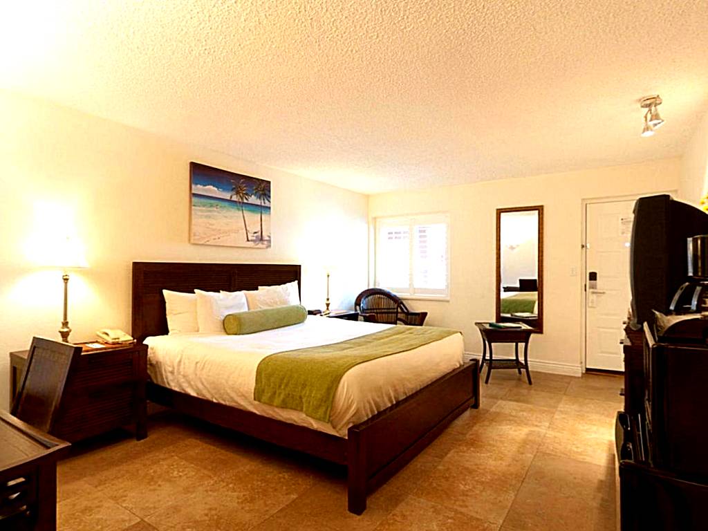 Tahitian Inn Boutique Hotel Tampa: King Room