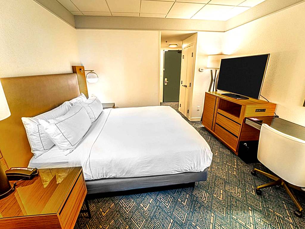 DoubleTree by Hilton Tampa Rocky Point Waterfront: King Room with Patio - Non smoking