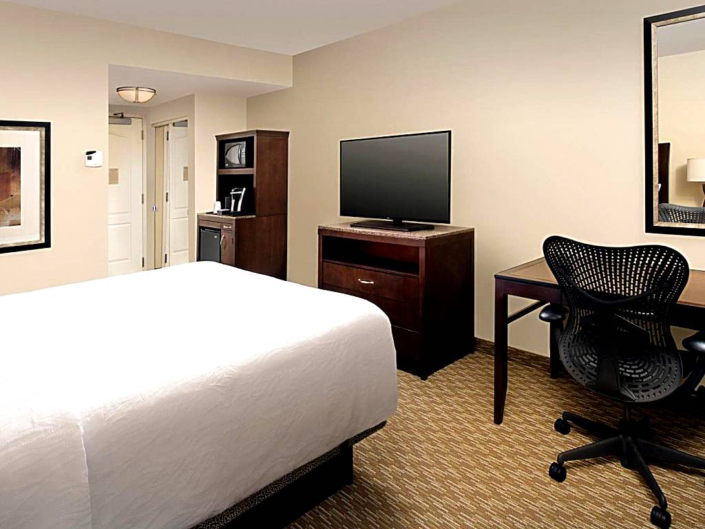Hilton Garden Inn Huntsville South/Redstone Arsenal: King Room with Whirlpool - single occupancy (Huntsville)