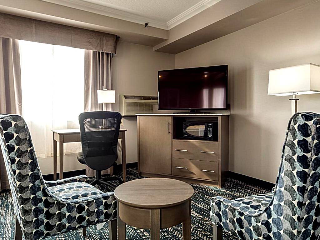 Monte Carlo Inn Brampton: Luxury King Suite with Jetted Tub