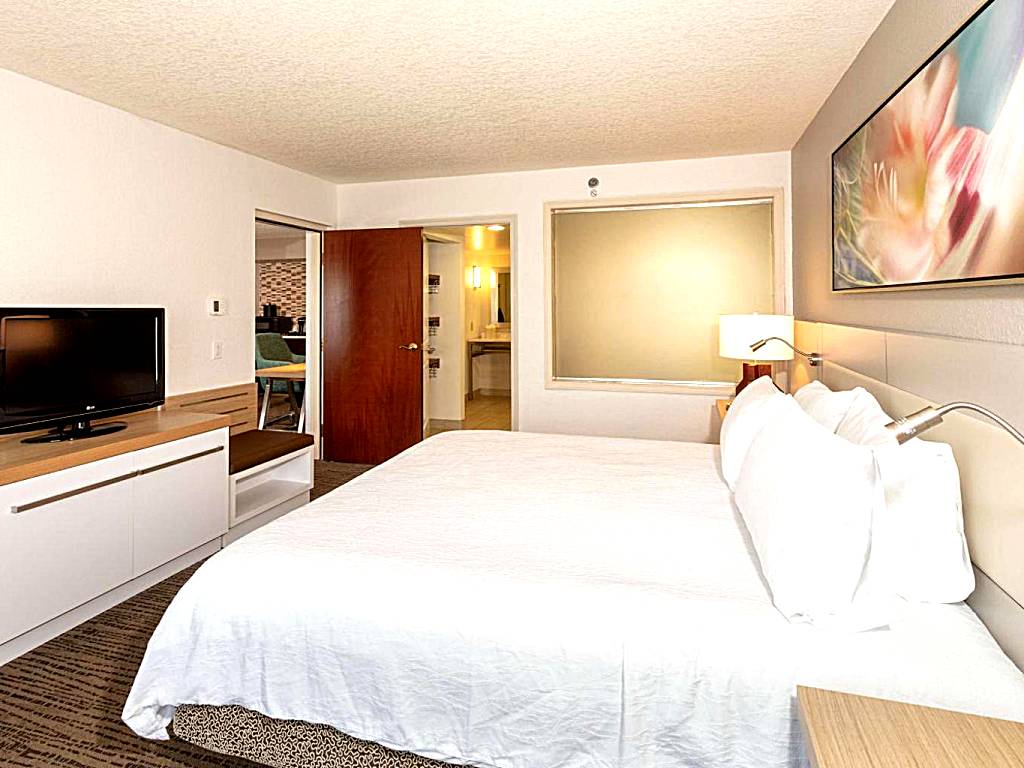 Hilton Garden Inn Daytona Beach Airport: One-Bedroom Deluxe King Suite with Spa Bath (Daytona Beach)