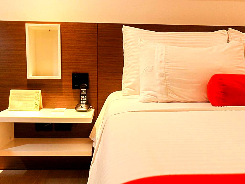 Hotel Loyds: Superior Double Room with Spa Bath - single occupancy