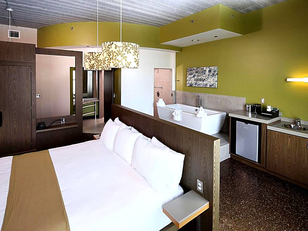 Tulyp: Deluxe King Room - single occupancy (Holland)