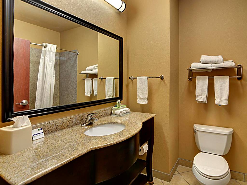 Holiday Inn Express Hotel and Suites Altus: King Suite with Whirlpool (Altus)
