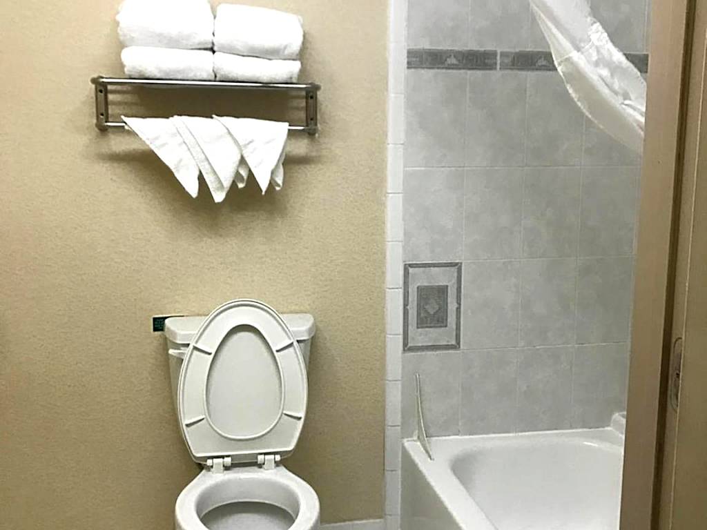 Shary Inn and Suites: Suite with Hot Tub (Mission)