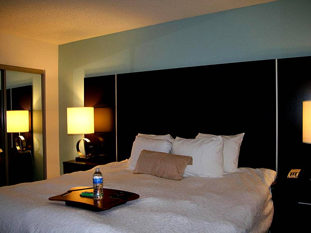 Hampton Inn Shreveport-Airport: King Suite with Sofa Bed - Non-Smoking