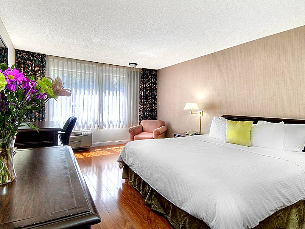 County Inn: King Room with Spa Bath (Mountain View)