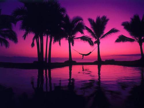 Casa Adriana Puerto Vallarta (Puerto Vallarta)