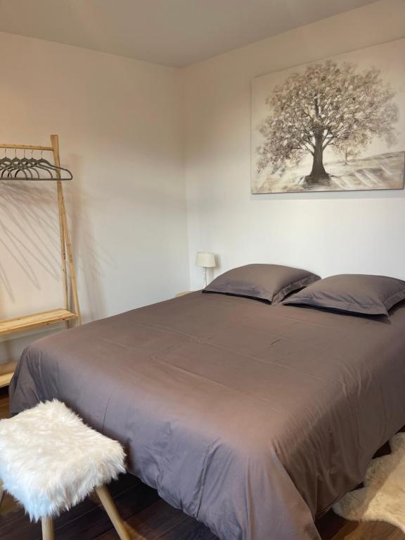 Les Appartements du Cep’t