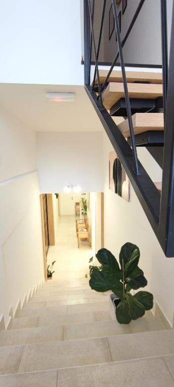 Cozy Rooms Luna - Gym & Wellness