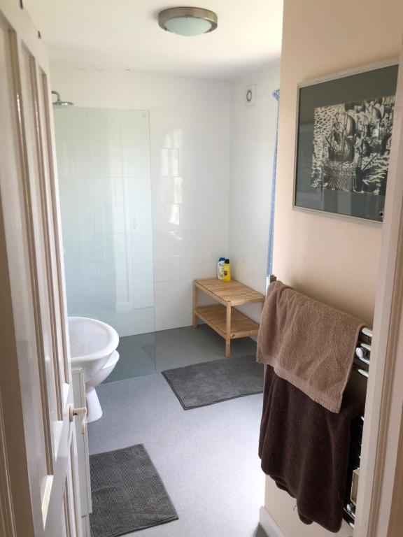 Spacious home in Bath, nature and city!