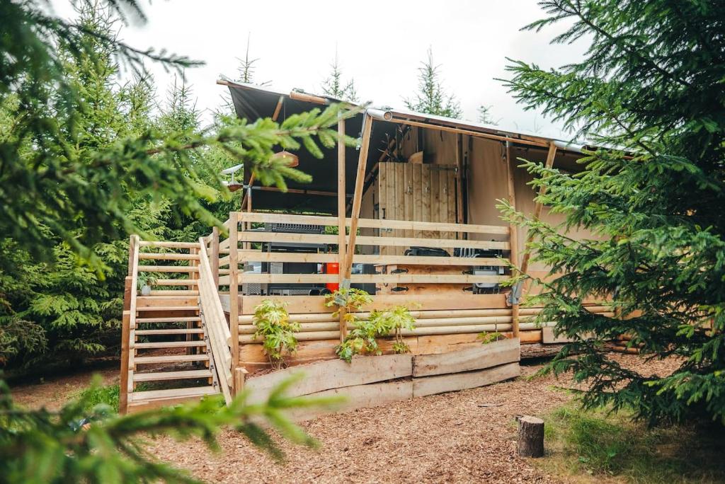 Cosy Forest Lodge