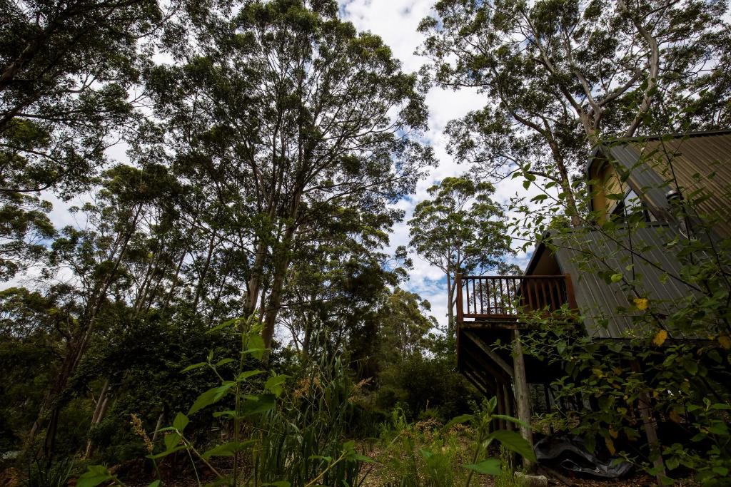 Green Leaves Cabin
