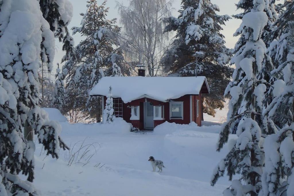 Lysti Cottage by the lake and magical countryside
