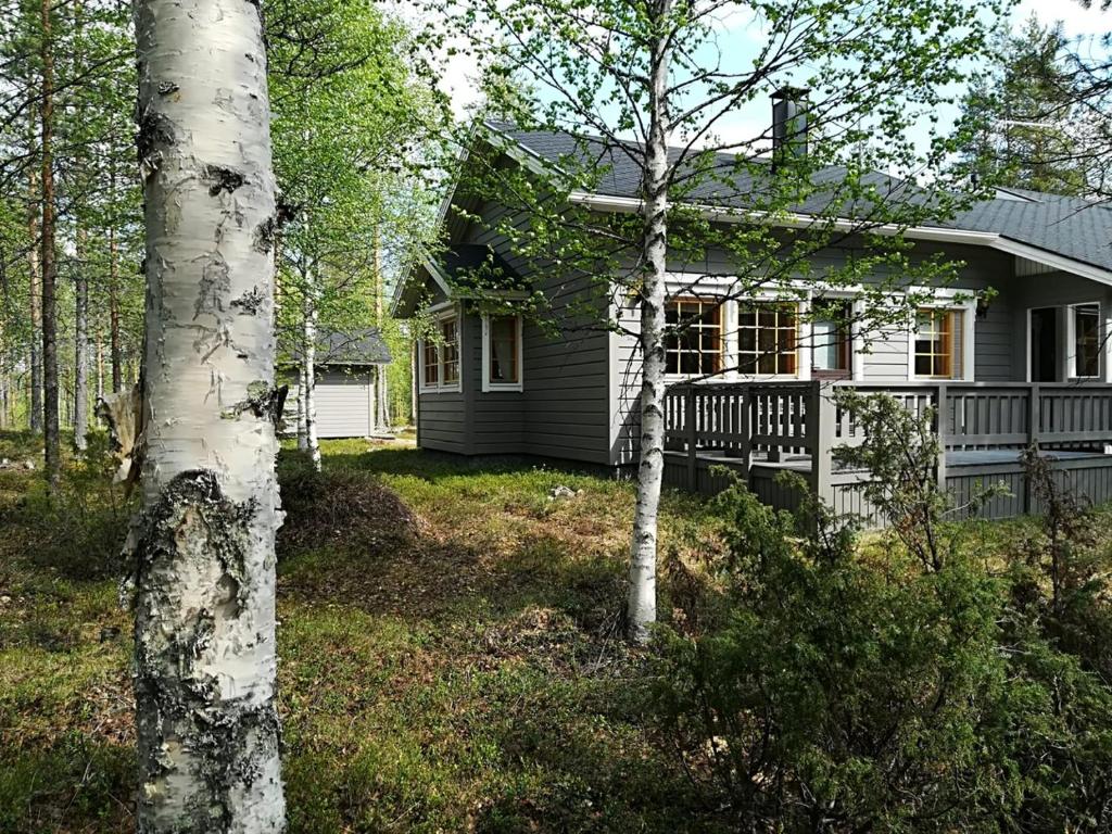 Räkkipirtti