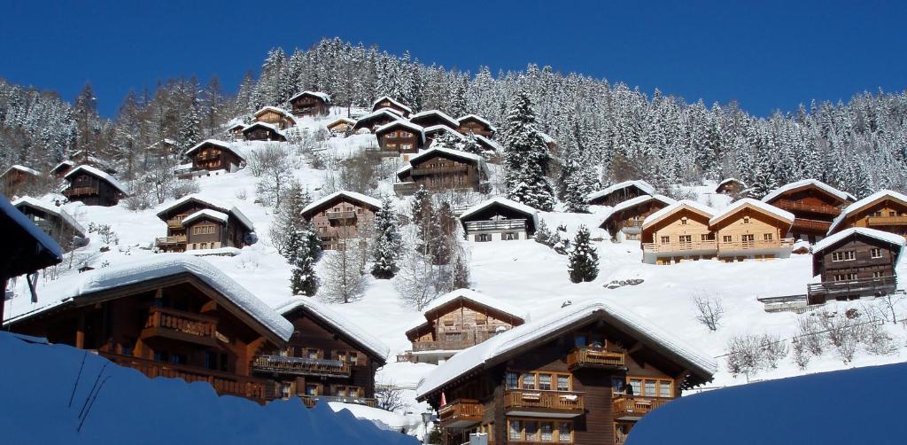 Chalet Etoile