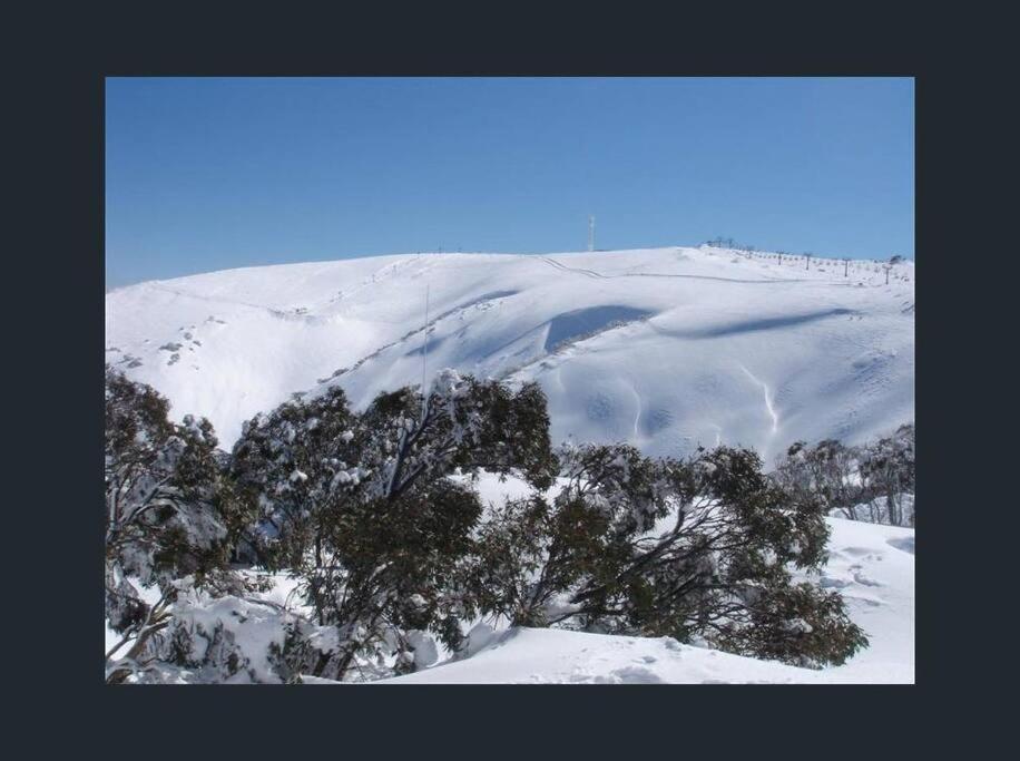 IceBreaker - Mount Hotham