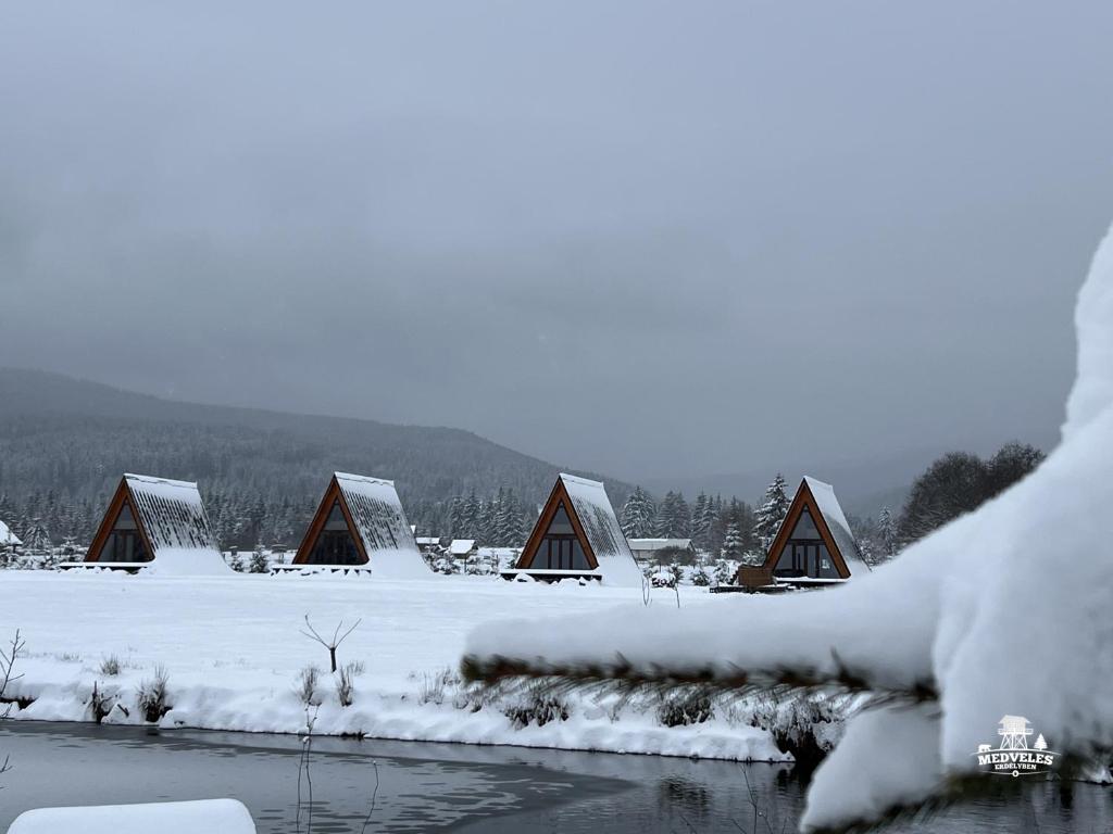 Transylvania Apartments
