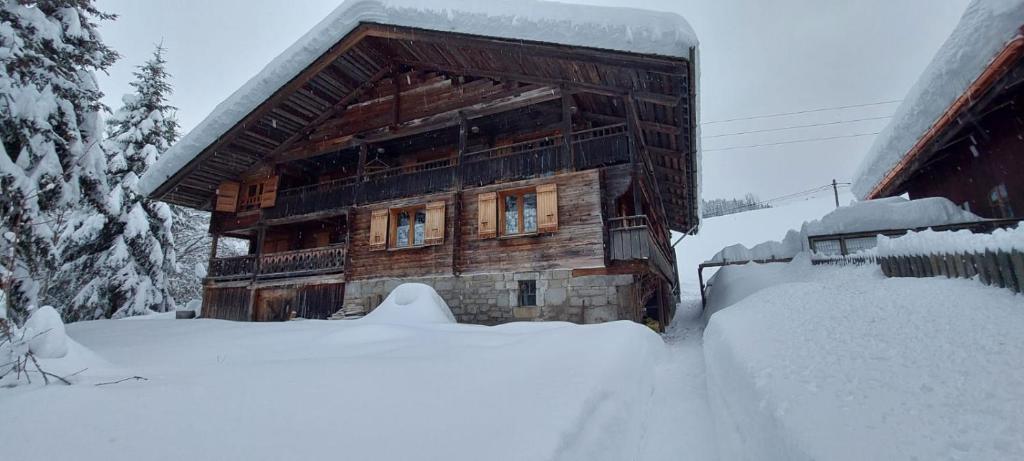 CHALET VENDEE-NEIGE Appartement CHARMIEUX 6 places 3 chambres