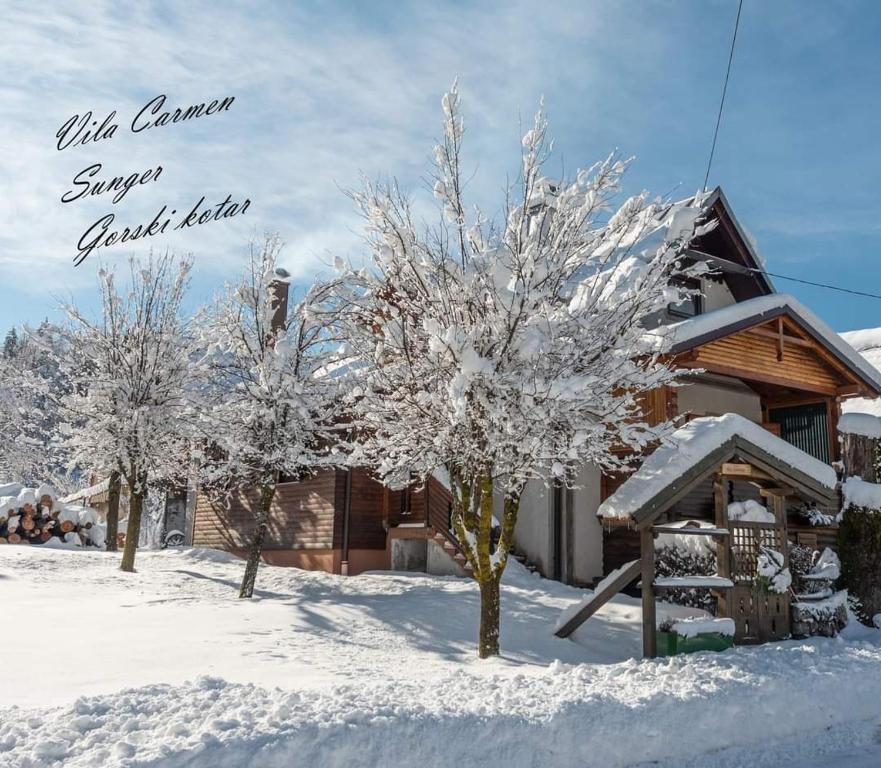 Vila Carmen sa mini wellnessom