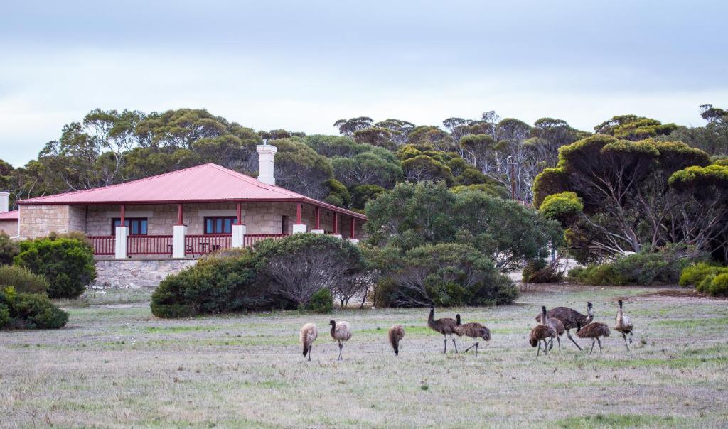 Engineers Lodge - Dhilba Guuranda-Innes National Park