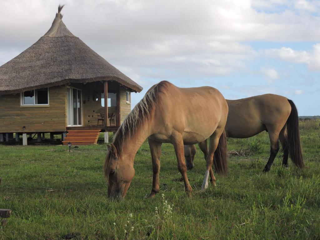 Los Chajá Ecolodge