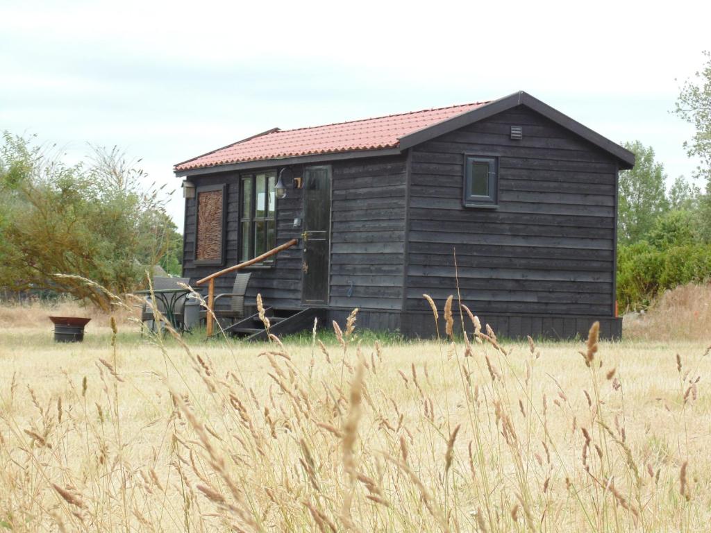 The Cabin