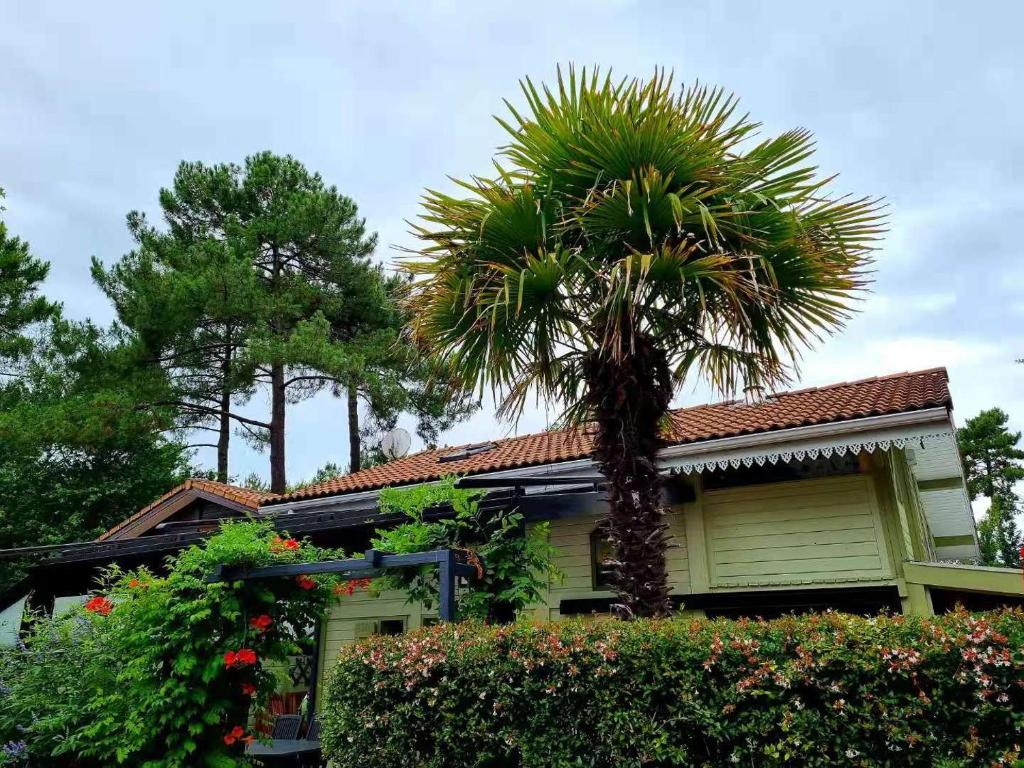 CHALET 311 KHELUS CLUB