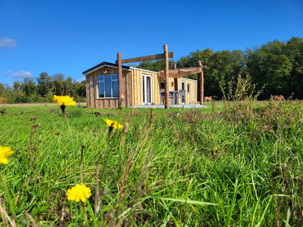 Hoeve Twente - Oeverzwaluw