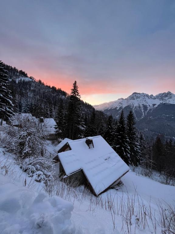 Chalet with mountainview
