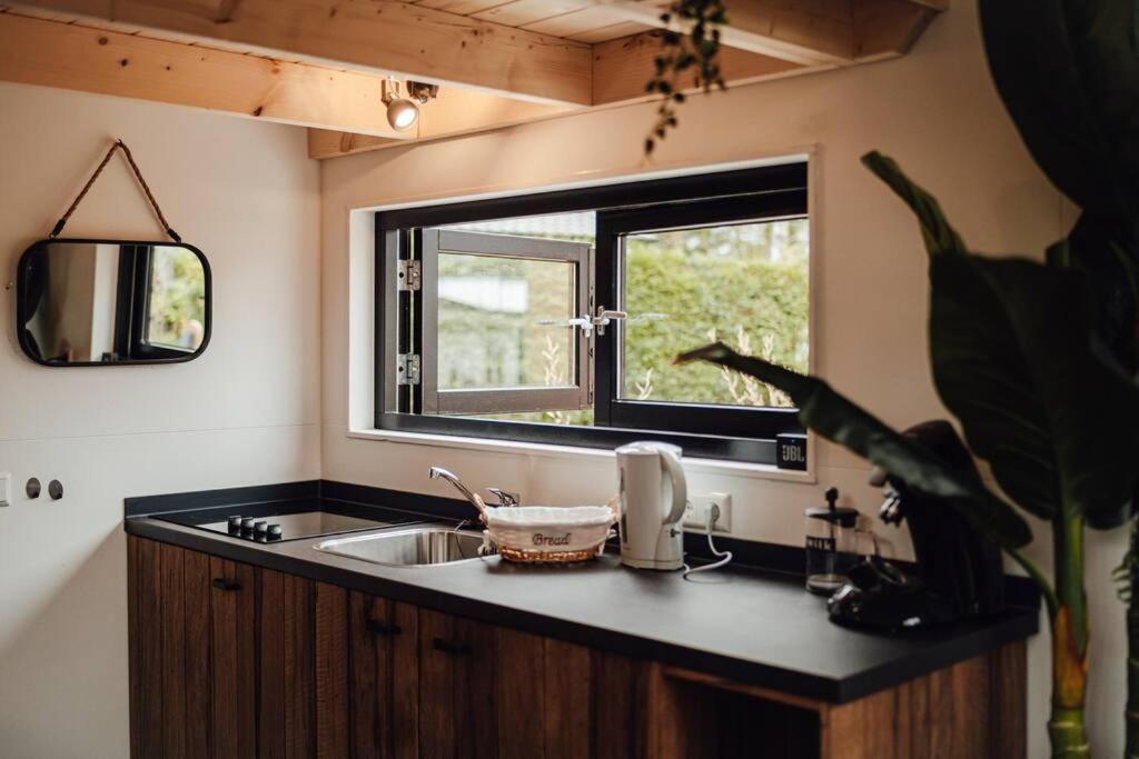 Tiny Dream House