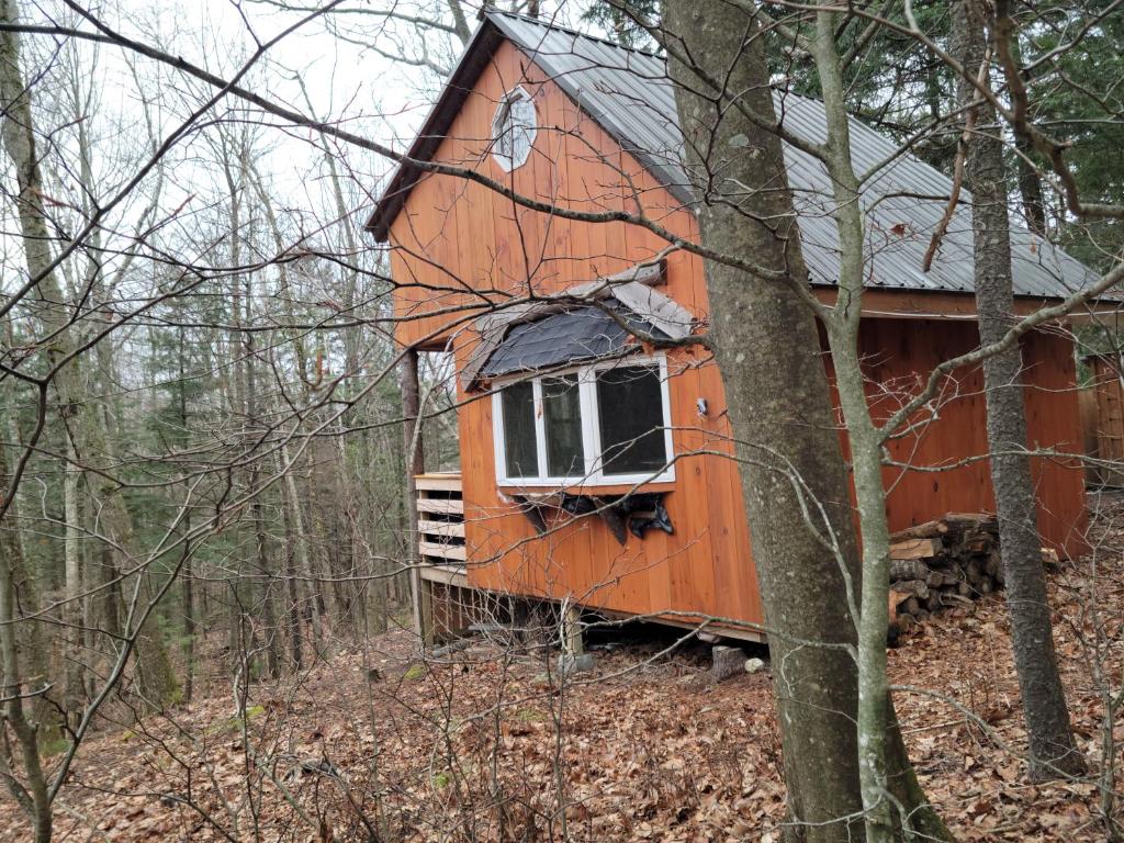 Vana Kuti-cabin in the woods