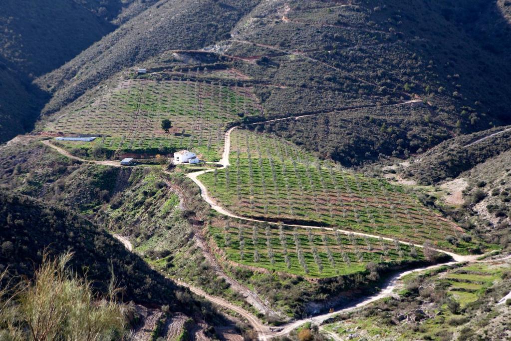 Cortijo El Rancho
