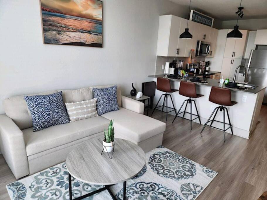Luxurious 1 BR Apt in Ybor City
