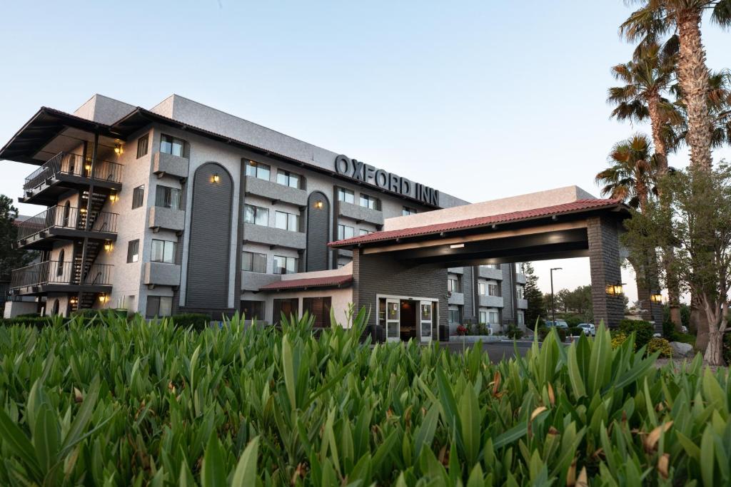 Oxford Suites Lancaster