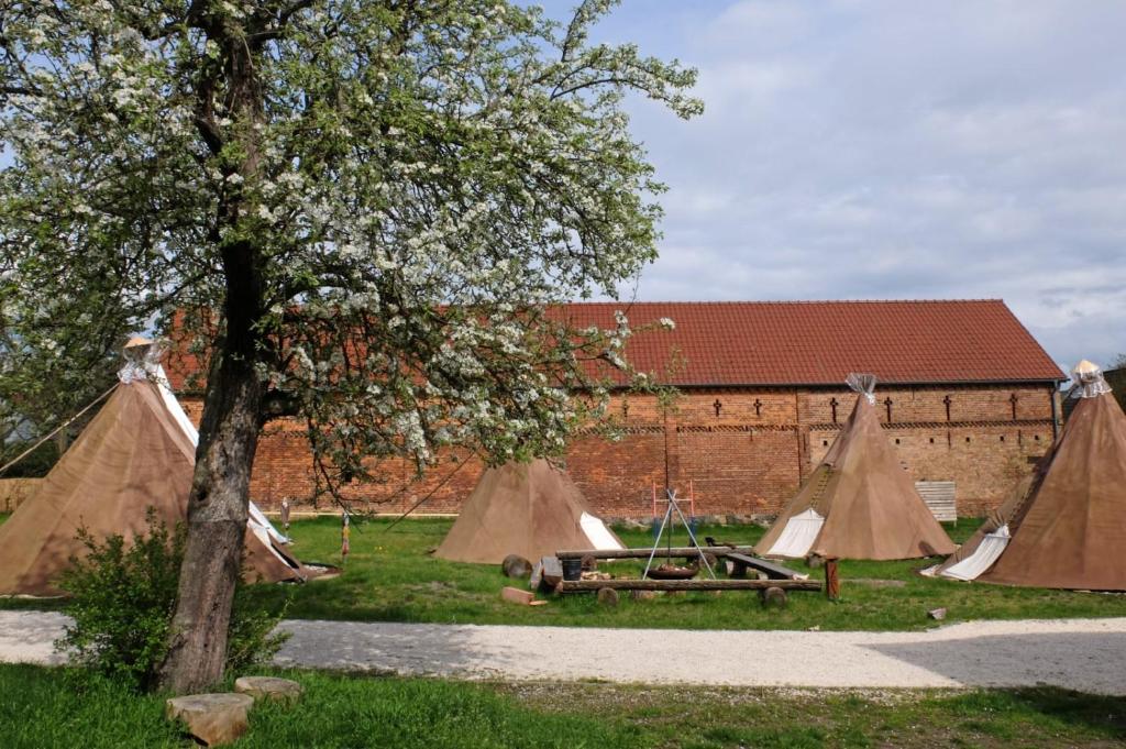 Kuckunniwi Tipidorf