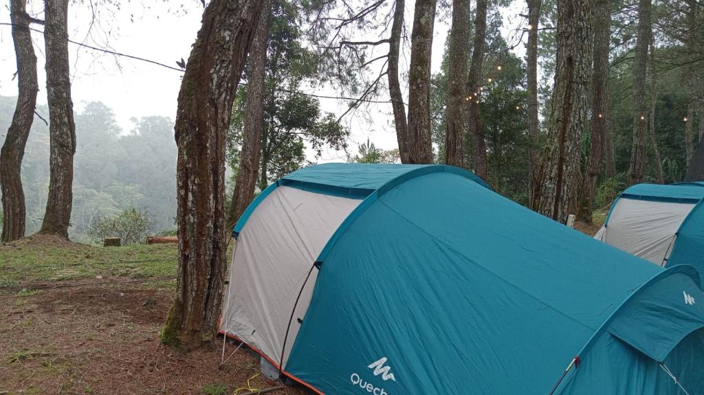 Great Panorama Lodge and Camping