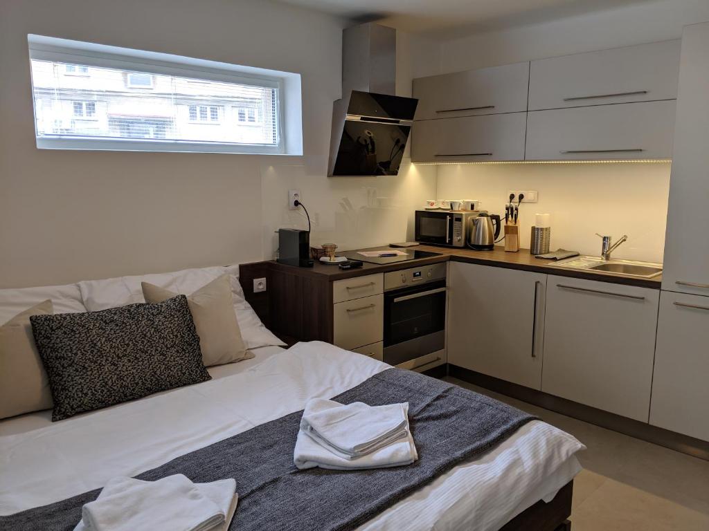 AP10 - Hradec Apartments "Overnight Simply"