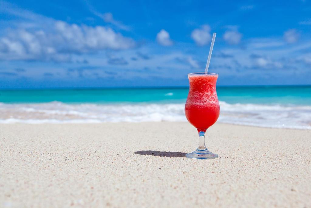 Siesta Key Dream Vacation