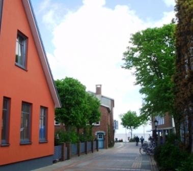 Roter Seestern