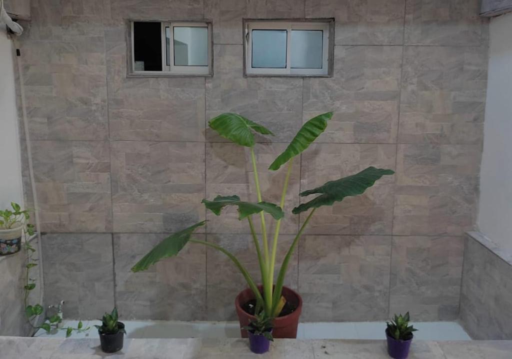 Rivera Hostel