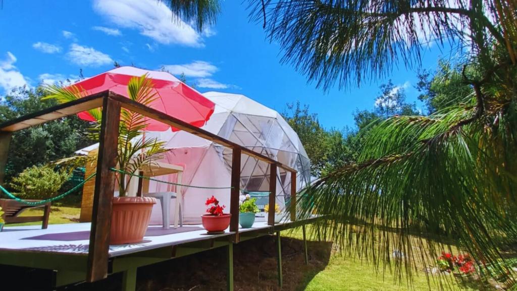 El Alpino Cabaña Glamping & Camping