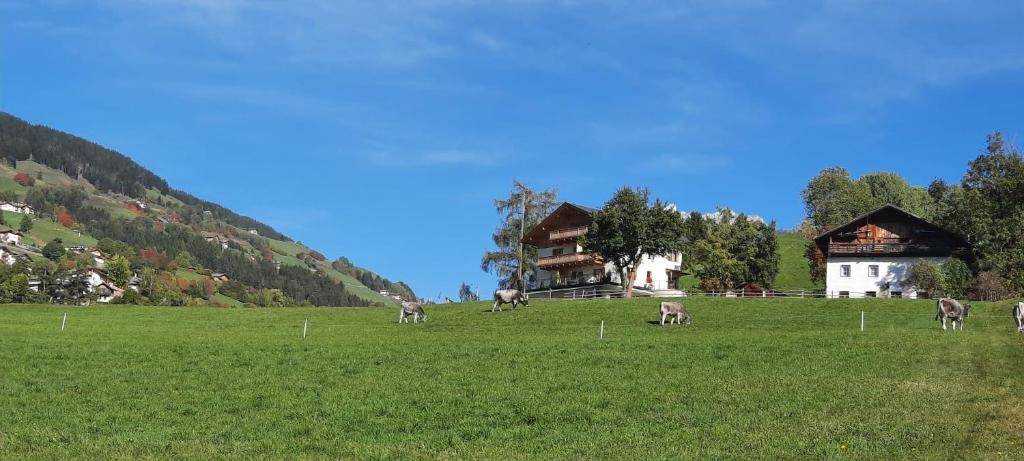 Baumannhof