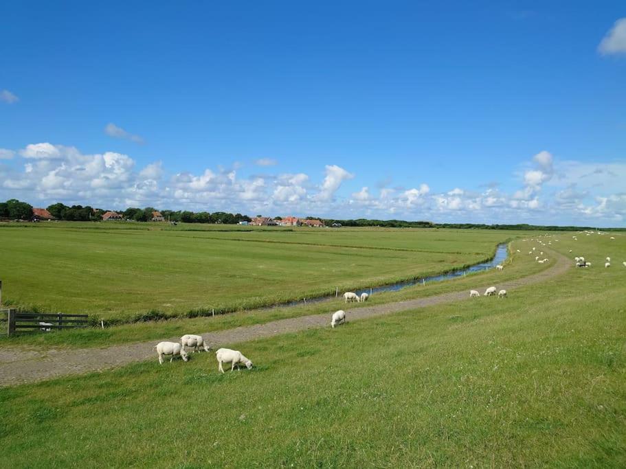 De Oostkamer; Eiland appartement naast natuurgebied Boschplaat